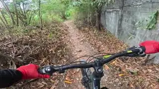 VID 20250406 174149 002