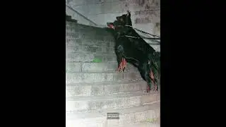 [FREE FOR PROFIT] DRAKE X LIL BABY TYPE BEAT - MAP FREESTYLE | Free For Profit Beats