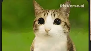 Reacting to gorilla tag funny videos￼
