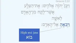 Genesis 2:22