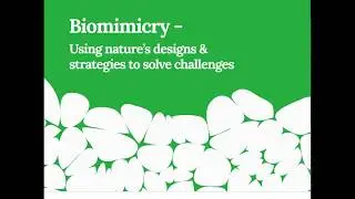Biomimicry - Unlocking Nature's Design Wonders