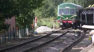 Green Met-Cam on the MNR