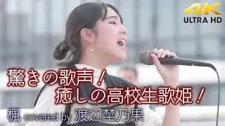 【 歌うま 】驚きの歌声！癒しの高校生歌姫！　楓 / スピッツ（ covered by 渡辺埜乃果 ）🎧推奨 高音質 4K映像