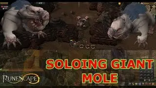 Solo-ing Giant Mole Boss (RuneScape)!