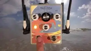Swell Delay by Mattoverse Electronics
