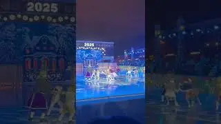 Щелкунчик #baby #dance #ride #новыйгод #москва #щелкунчик