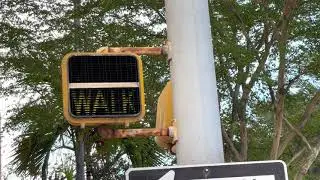 Old Neon ICC worded pedestrian signal