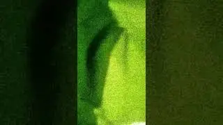 Artificial Grass Shop In Delhi #grass #verticalgarden #shorts 8512000888