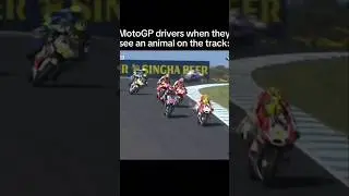 F1 vs MotoGP on Track! #wow #motogp #f1 #amazing #fail #skill #animal #bird #lol #lmao #sad #damn