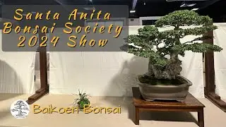 Santa Anita Bonsai Society 57th Show and Exhibition 2024 - Baikoen Bonsai Club