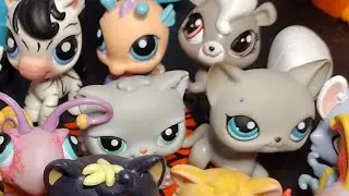 lps thift store finds! (it was supposed to be a short but it was too long 😪)