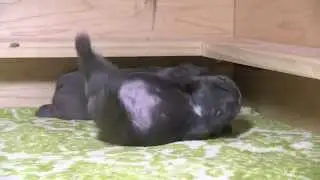 You can do it!!!!