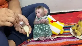 Cute Newb0rn Babii Bubu So Happy Hold Both Hand Wait His Mom Scratch Banana Feed Him