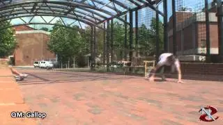 Galloping Quadrupedal Movement