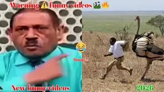 Extreme funny vides try not to laugh, part 1