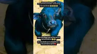 😥😭💔 kisi mod par na juda hongi #shortvideo
