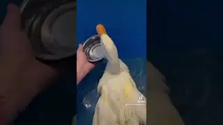 Amputation + Prosthetic For Pekin Injured By Irresponsible Fisherman