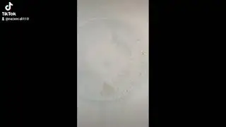 Qudarat ka Karshma
