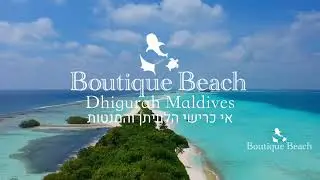 צלילה במלדיבים באי כרישי הלוויתן