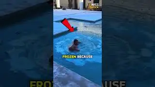 Boy Struggles With Frozen Pool And Kite ❄️