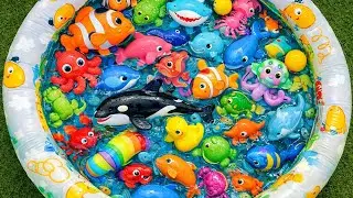 Splash & Learn! 🌊 Sea Animal Names and Fun Facts for Toddlers