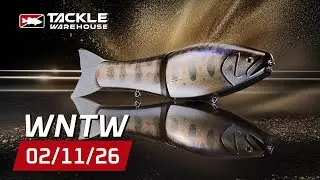 Специальное предложение BIG FISH с A-Train! Эксклюзивные ретро-цвета, новый цвет Negotiator и Shi...