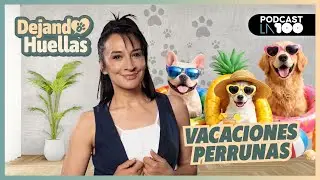 🐾 VACACIONES PET FRIENDLY 🐾 Claves para viajar con tu mascota