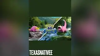 March Community Day | Pok&eacute;mon GO✨✨ (Galarian/Normal Form Slowpoke)