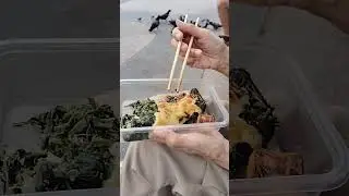 タイ国🇹🇭パタヤビーチで！お弁当！ご飯‼️最高！鳩も！感謝！日本国福井県福井市出身！めし食ったか？世界🪩命❤️⛩️🎌🗼🦖🧘平和✌️和平🙏