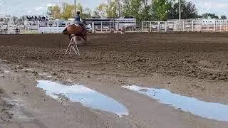 Badger barrel jpot