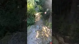 Max Grayston stunts
