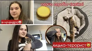 VLOG Боюсь свою кицьку, роблю чізкейк і лоханулась з магазинами😂