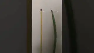 93 cm