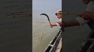 Simplest Fishing Trick #fishing #fish