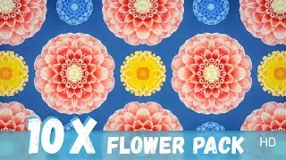 Beautiful Flower Video Background 10x Pack