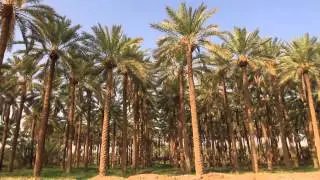البدائع قصة نسجها الإبداع