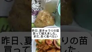 今日のお弁当です。すりおろし生姜で。#ははのハハハ