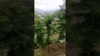 My valley swat manai