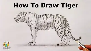How To Draw Tiger Full Body with Pencil Shading Drawing Step By Step Realistic AnimalSketch Tutorial