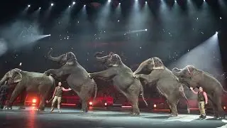 Ringling Bros. to Retire Its Circus Elephants
