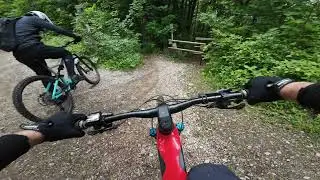 Wiener wald after the rain! Wurzel / Sauberg / Sch&ouml;nstatt / S&uuml;d-Tiroler