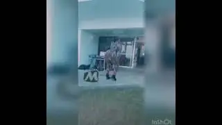 slay Queen fall down while twerking 🤣🤣🤣