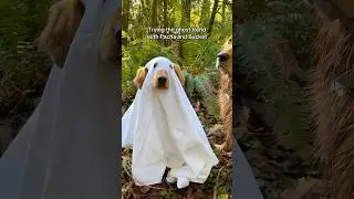 Extreme spook warning ⚠️ (don&rsquo;t say I didn&rsquo;t warn you)