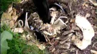 boomstobbe frezen (4).AVI