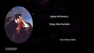 Adam Mickiewicz - Stepy Akermańskie