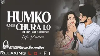 Humko Humise Churalo (Duet) || Relaxing Lo-Fi Version | Humko Humise Se Chura Lo | Bollywood 90s Song