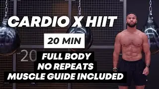 20 MIN CARDIO HIIT WORKOUT - FULL BODY, NO EQUIPMENT, NO REPEATS, MUSCLE GUIDE INCLUDED, FAT BURN