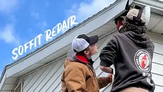 Неделя птиц &ndash; Ремонт софитов