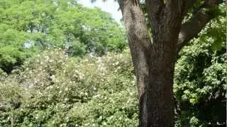 my first try with slit-scan photography - enjoy :)