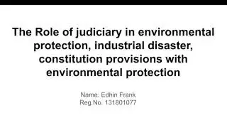The role of judiciary in environmental protection, industrial disaster, constitution provisions.